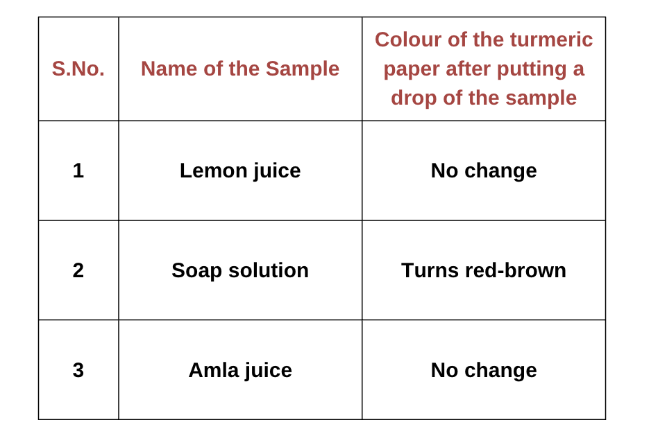 Exploring Substances: Acidic, Basic and Neutral Class 7 Notes Science Chapter 2 Free PDF