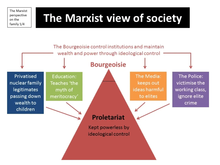 Assignment: Sociology and Society | Sociology Class 11 - Humanities/Arts