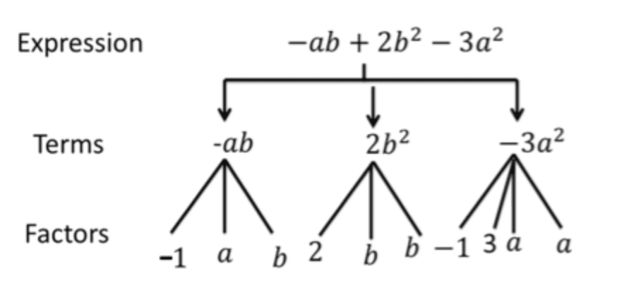 Points to Remember- Factorisation | Mathematics (Maths) Class 8