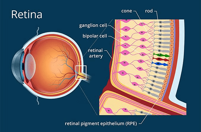 Class 10 Science Chapter 10 Question Answers - Human Eye and Colourful World