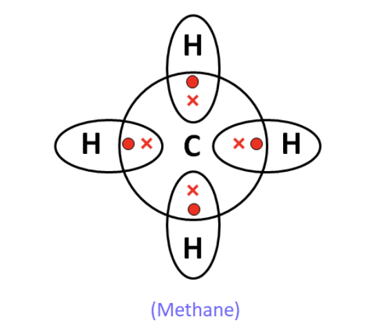Case Based Questions: Carbon and Its Compounds | Science Class 10