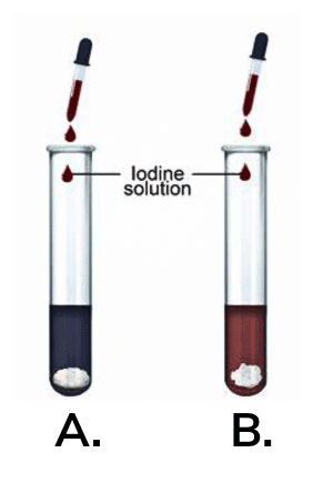 NCERT Solutions for Class 7 Science Chapter 9 Life Processes in Animals