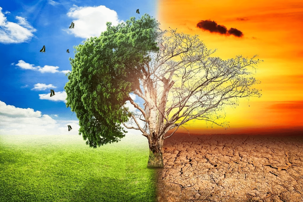 Assignment: Geography as a Discipline | Geography Class 11 - Humanities/Arts