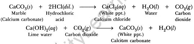Class 10 Science Chapter 2 Question Answers - Acids, Bases and Salts