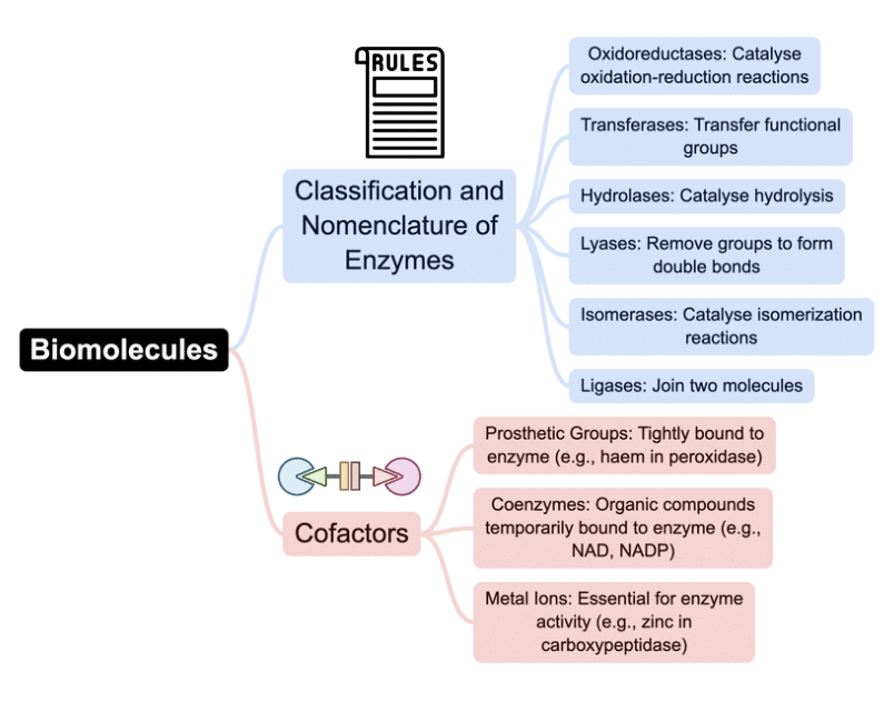 Mind Map: Biomolecules | Biology Class 11 - NEET