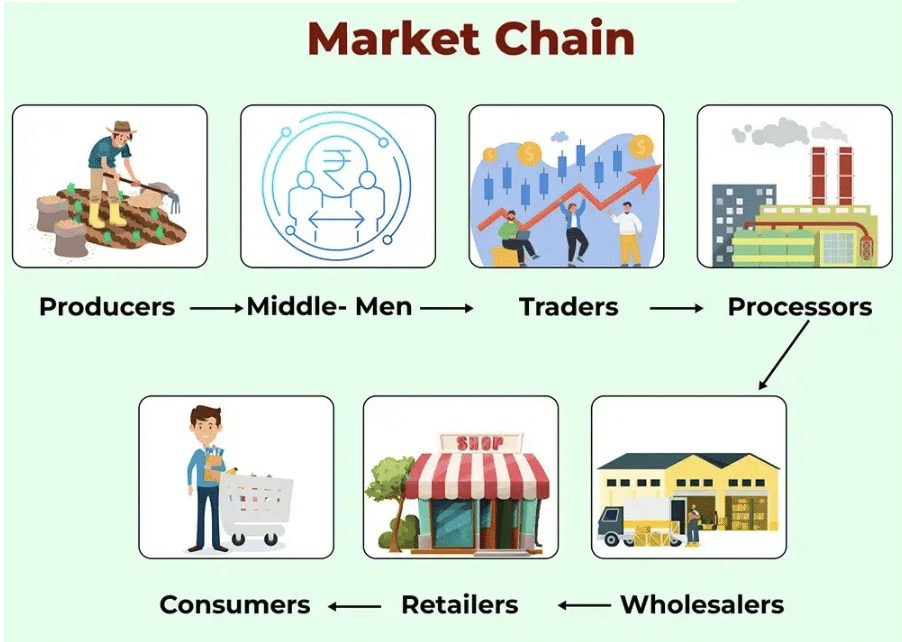 NCERT Solutions for Class 7 Social Science - Market Around Us