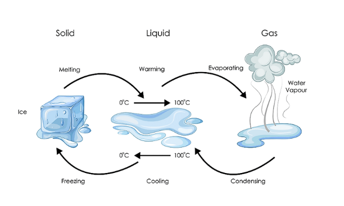 NCERT Solutions for Class 7 Science Chapter 5 Changes Around Us: Physical and Chemical