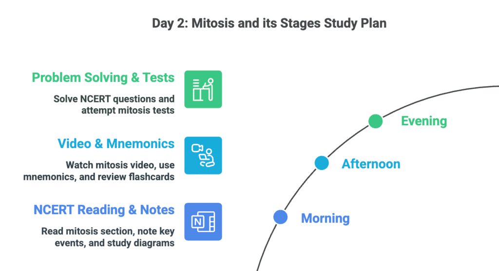 5 Days Study Plan: Cell Cycle & Cell Division | Biology Class 11 - NEET