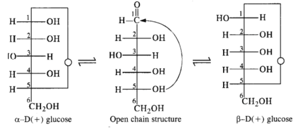 NCERT Solutions Class 11 Biology Chapter 9 - Biomolecules