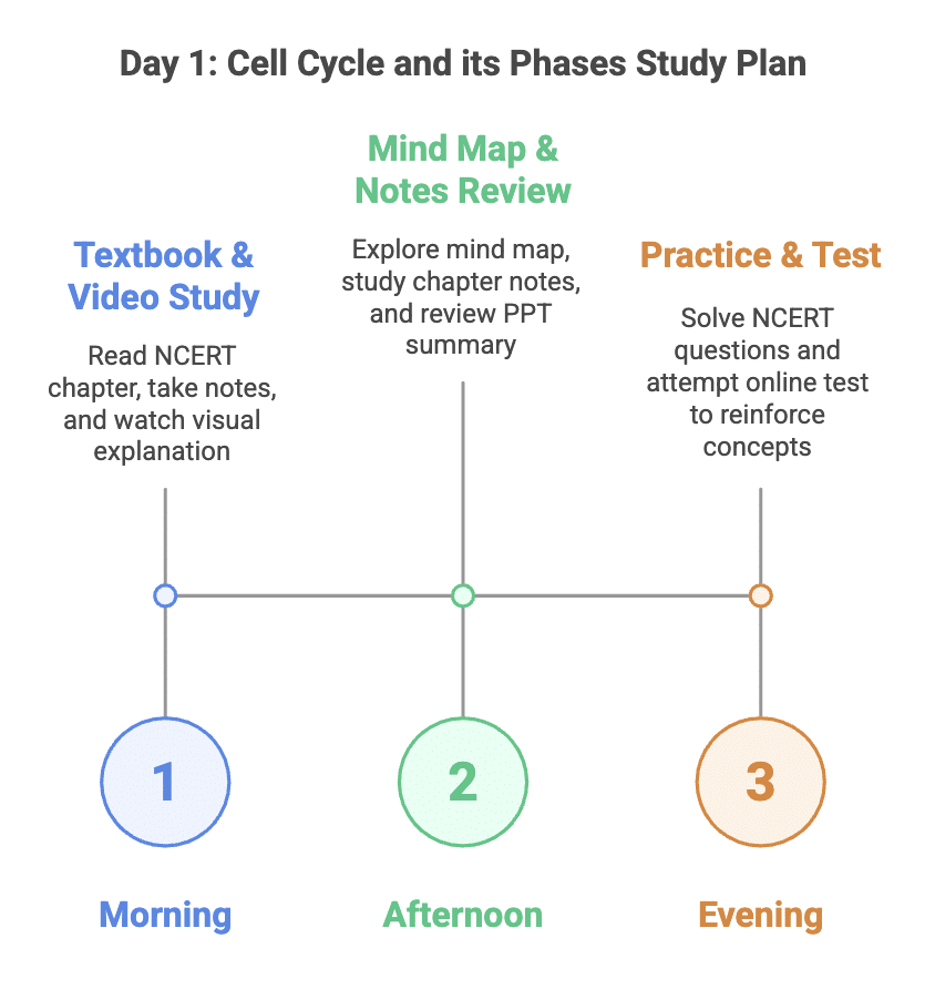 5 Days Study Plan: Cell Cycle & Cell Division | Biology Class 11 - NEET