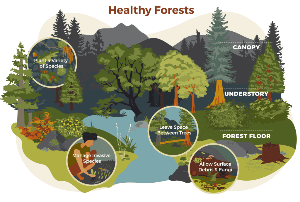 NCERT Solutions for Class 7 Science - Forests- Our Lifeline