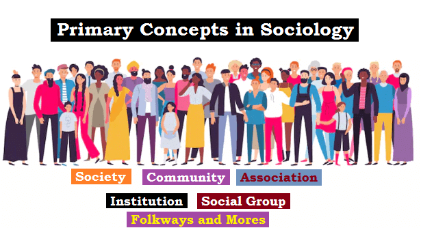 Assignment: Sociology and Society | Sociology Class 11 - Humanities/Arts