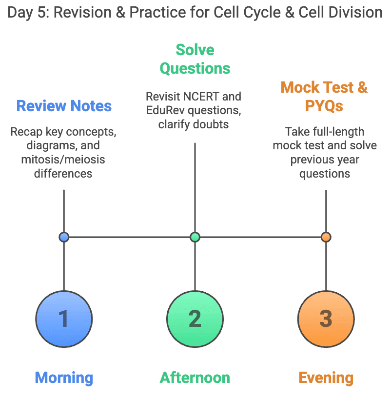5 Days Study Plan: Cell Cycle & Cell Division | Biology Class 11 - NEET