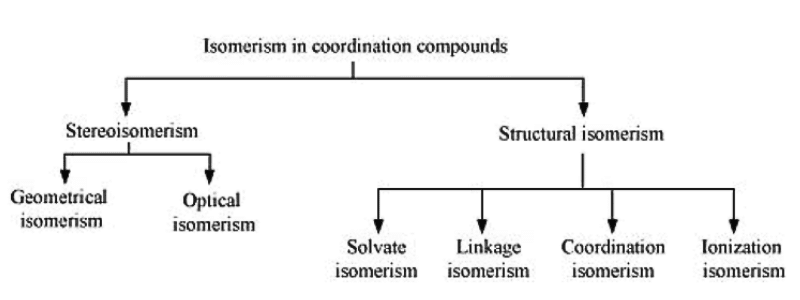 NCERT Solutions Class 12 Chemistry Chapter 5 - Coordination Compounds