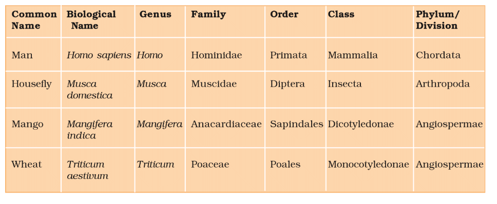 Revision Notes: The Living World | Biology Class 11 - NEET