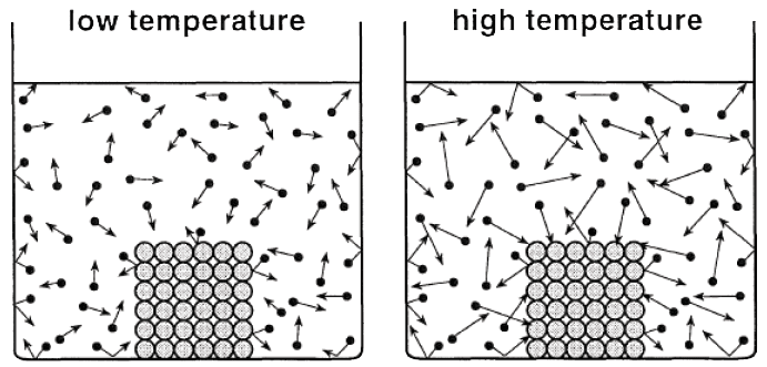 Assignment: Matter in Our Surroundings | Science Class 9
