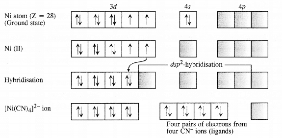 NCERT Solutions Class 12 Chemistry Chapter 5 - Coordination Compounds