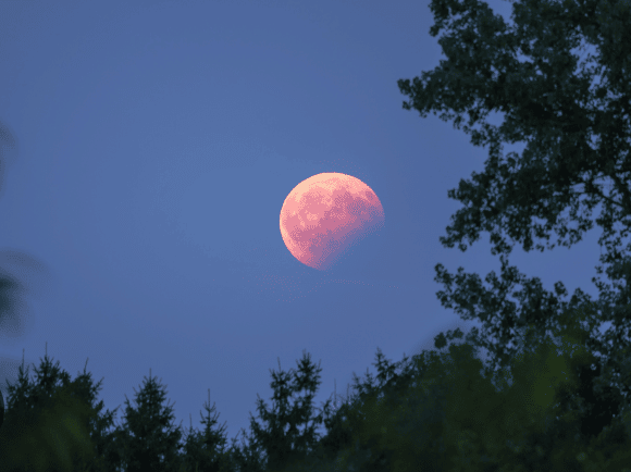 Class 7 Science Chapter 12 Question Answers - Earth, Moon, and the Sun