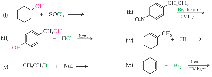 NCERT Solutions Class 12 Chemistry Chapter 6 - Haloalkanes & Haloarenes