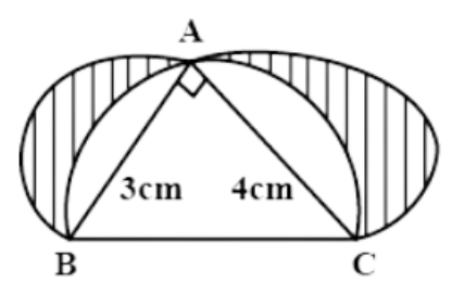Class 10 Maths Chapter 11 Previous Year Questions - Areas Related to Circles