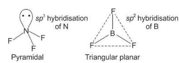 NCERT Exemplar: Chemical Bonding & Molecular Structure | Chemistry Class 11 - NEET