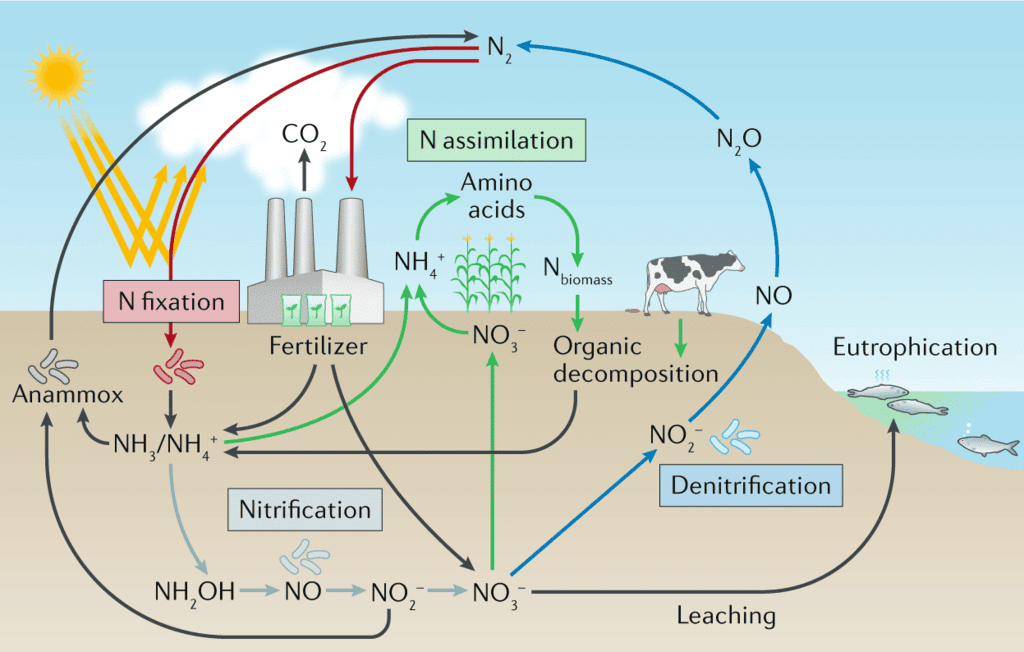Class 10 Science Chapter 13 Practice Question Answers - Our Environment