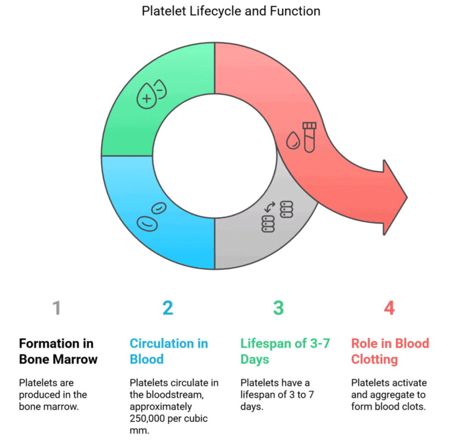 Blood - Notes, Biology | General Awareness - Bank Exams