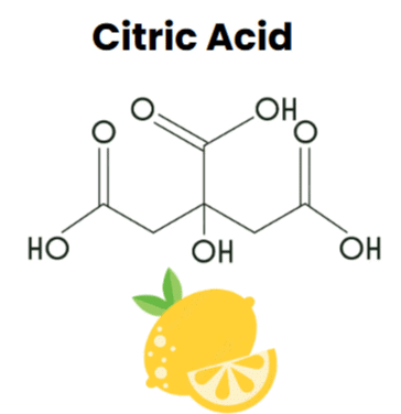Nomenclature of Organic Compounds | Chemistry Class 11 - NEET