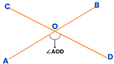 Introduction to Lines & Angles | The Complete SAT Course - Class 10