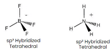 NCERT Exemplar: Chemical Bonding & Molecular Structure | Chemistry Class 11 - NEET