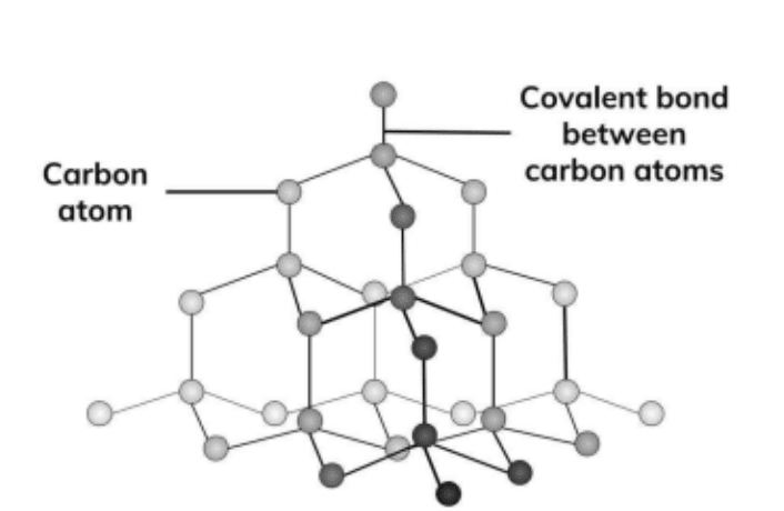 NCERT Solutions Class 11 Chemistry - The p-Block Elements