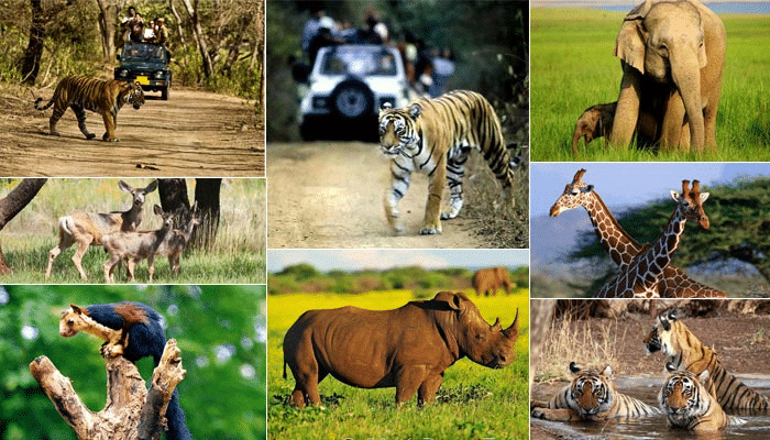 Indian Geography I | General Awareness - Bank Exams
