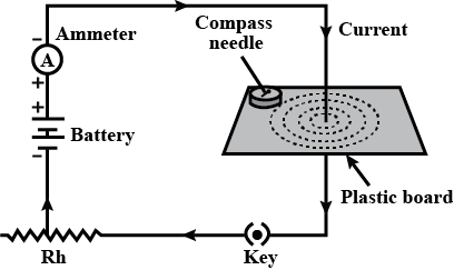 Previous Year Questions 2024