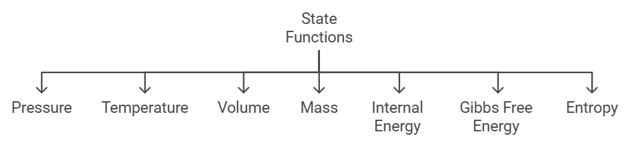 Thermodynamics: Common Terms, State Function, Reversible & Irreversible Processes | Chemistry Class 11 - NEET
