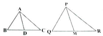 Previous Year Questions: Triangles | Mathematics (Maths) Class 10