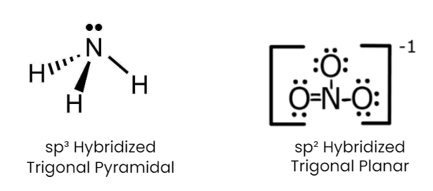NCERT Exemplar: Chemical Bonding & Molecular Structure | Chemistry Class 11 - NEET