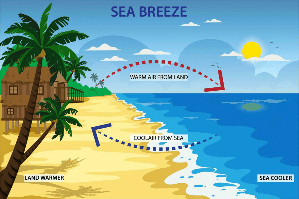 Sea Breeze