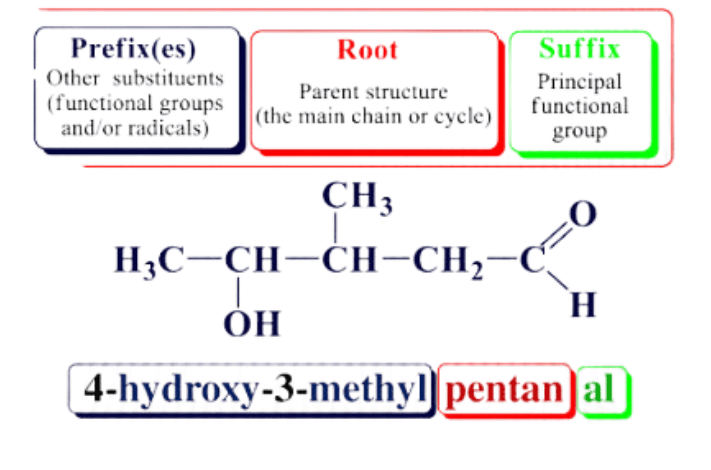 Nomenclature of Organic Compounds | Chemistry Class 11 - NEET