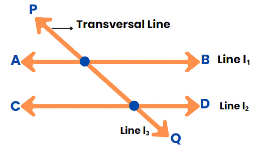 Introduction to Lines & Angles | The Complete SAT Course - Class 10