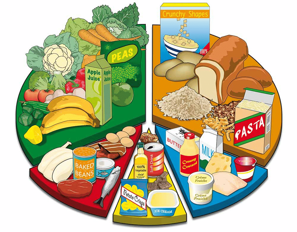 Food we eat Chapter Notes | EVS Class 3: The World around us (Our Wondrous World)
