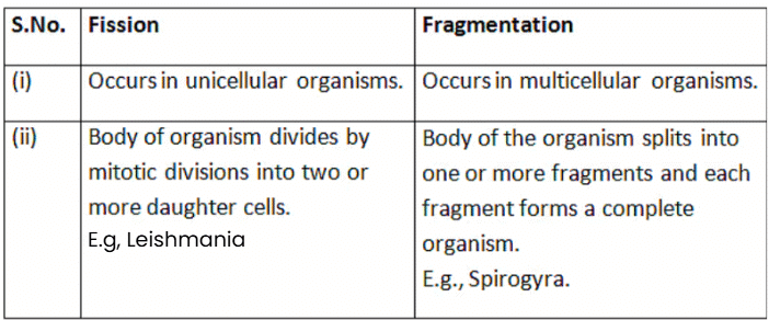 Class 10 Science Chapter 7 Previous Year Questions - How do Organisms Reproduce?