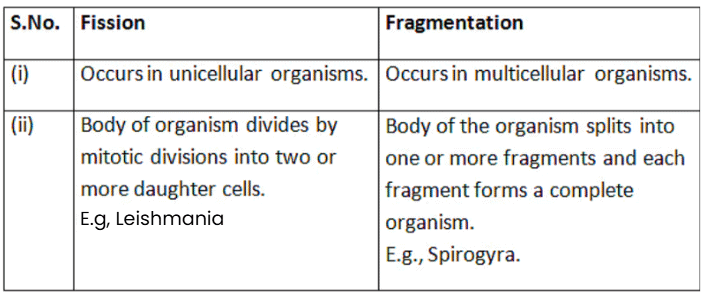 Previous Year Questions 2016