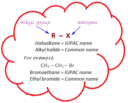 Classification & Nomenclature of Haloalkanes & Haloarenes | Chemistry Class 12 - NEET