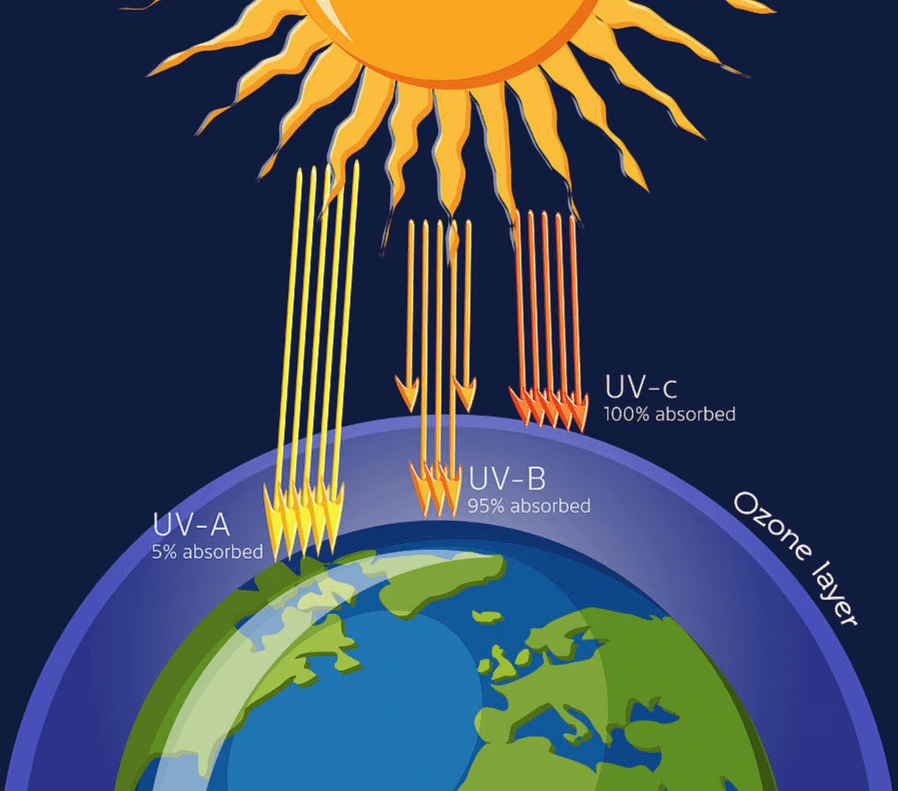 Class 10 Science Chapter 13 Practice Question Answers - Our Environment