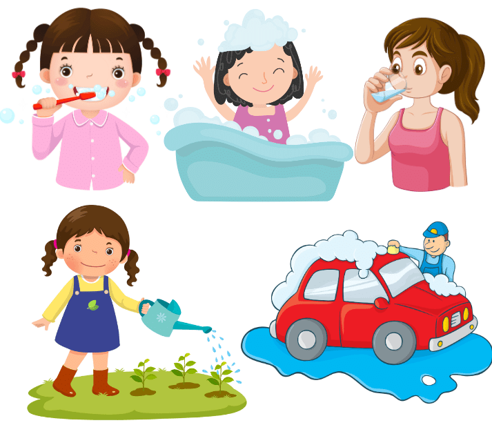 Water- A Precious Gift Chapter Notes | EVS Class 3: The World around us (Our Wondrous World)