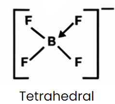NCERT Solutions Class 11 Chemistry - The p-Block Elements