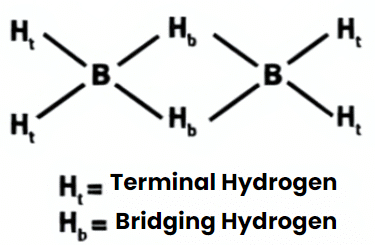NCERT Solutions Class 11 Chemistry - The p-Block Elements