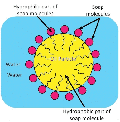 Class 10 Science Chapter 4 Previous Year Questions - Carbon and its compounds