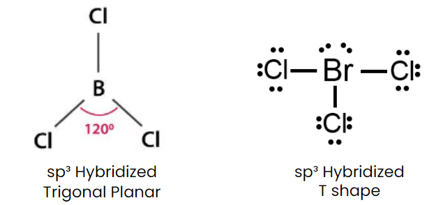 NCERT Exemplar: Chemical Bonding & Molecular Structure | Chemistry Class 11 - NEET