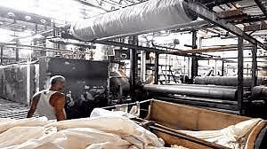 Industry - 1 Class 4 Worksheet SST